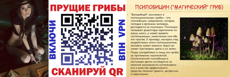 Галлюциногенные грибы MAGIC MUSHROOMS ссылка на мегу Чадан